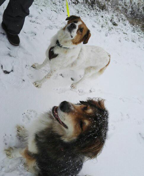 Lucy und ihr Kumpel Sam