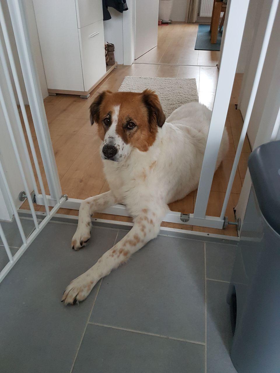 unauffällige Küchen-Grenzüberschreitung