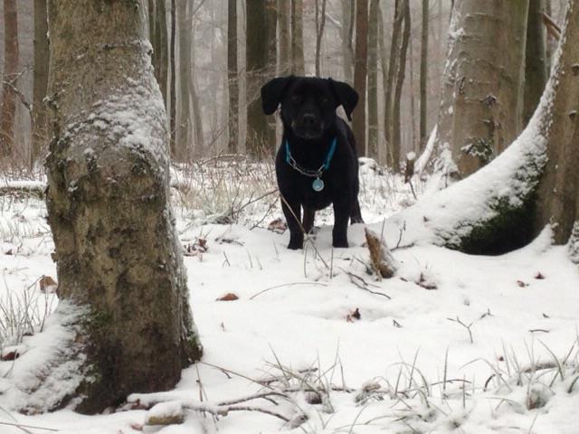 Schneeausflug