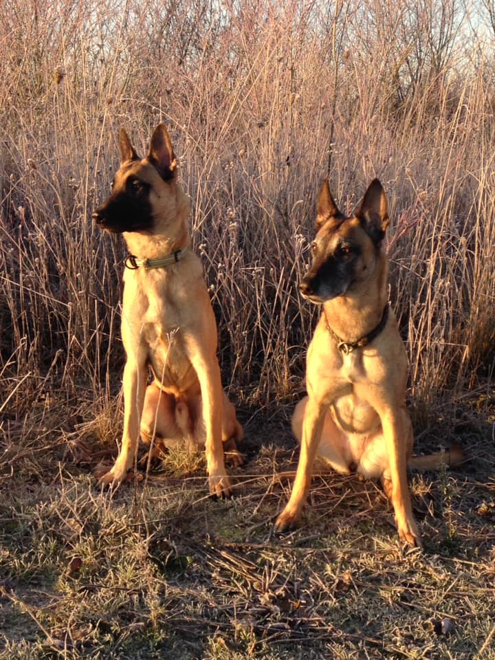 Zack Zack (9 Monate) und Hilde (5,5 Jahre)