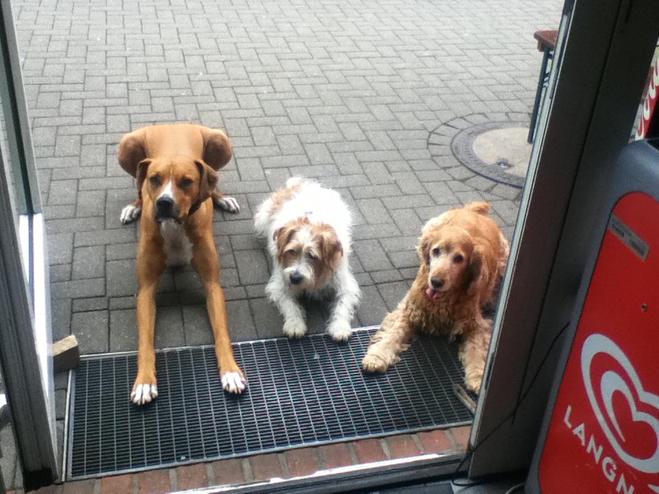 Mein Großer und Opa :)