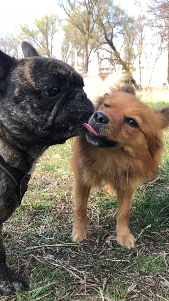 Kira und Merlin lieben sich :p