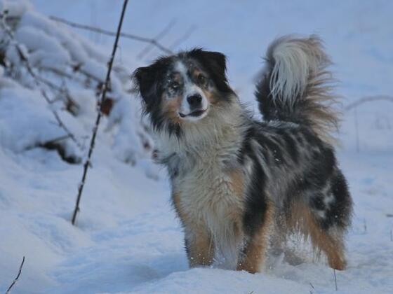 Schnee :)