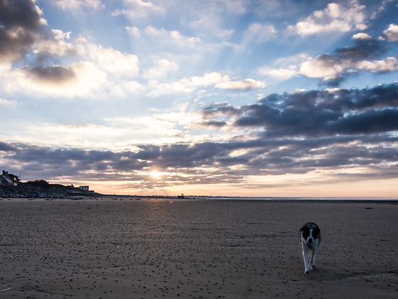 Idgie Silvester 2014