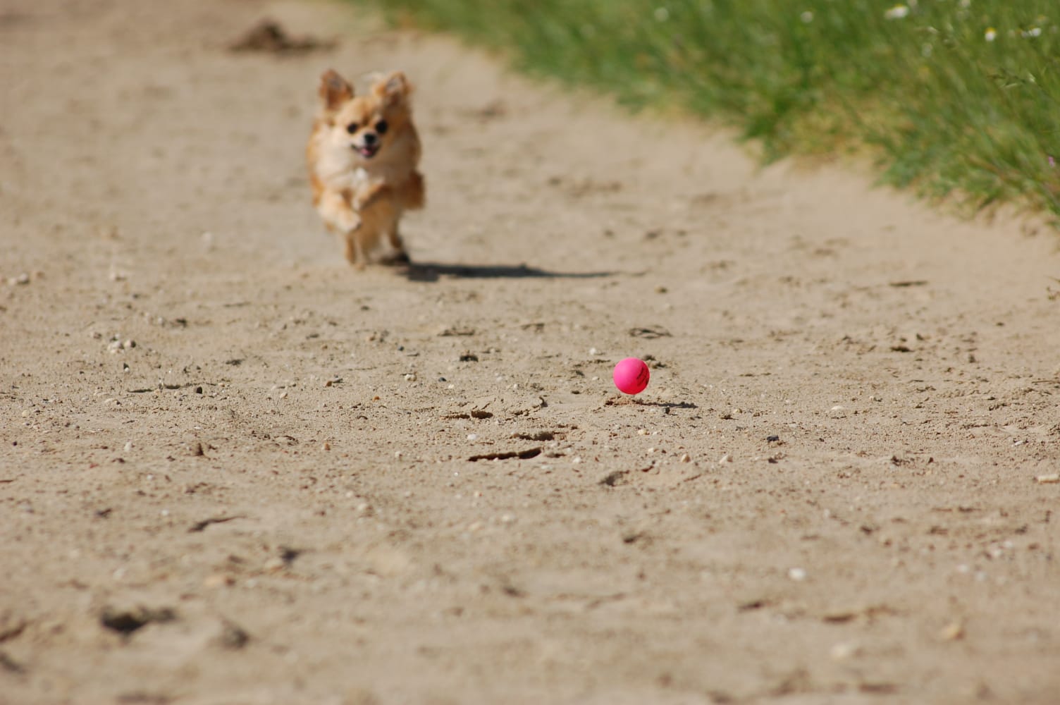 EDA21339-C91F-45DB-8BF6-03E60AA606C2