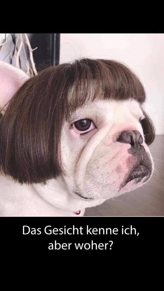 65158554_2313351275378000_1298306040202264576_n