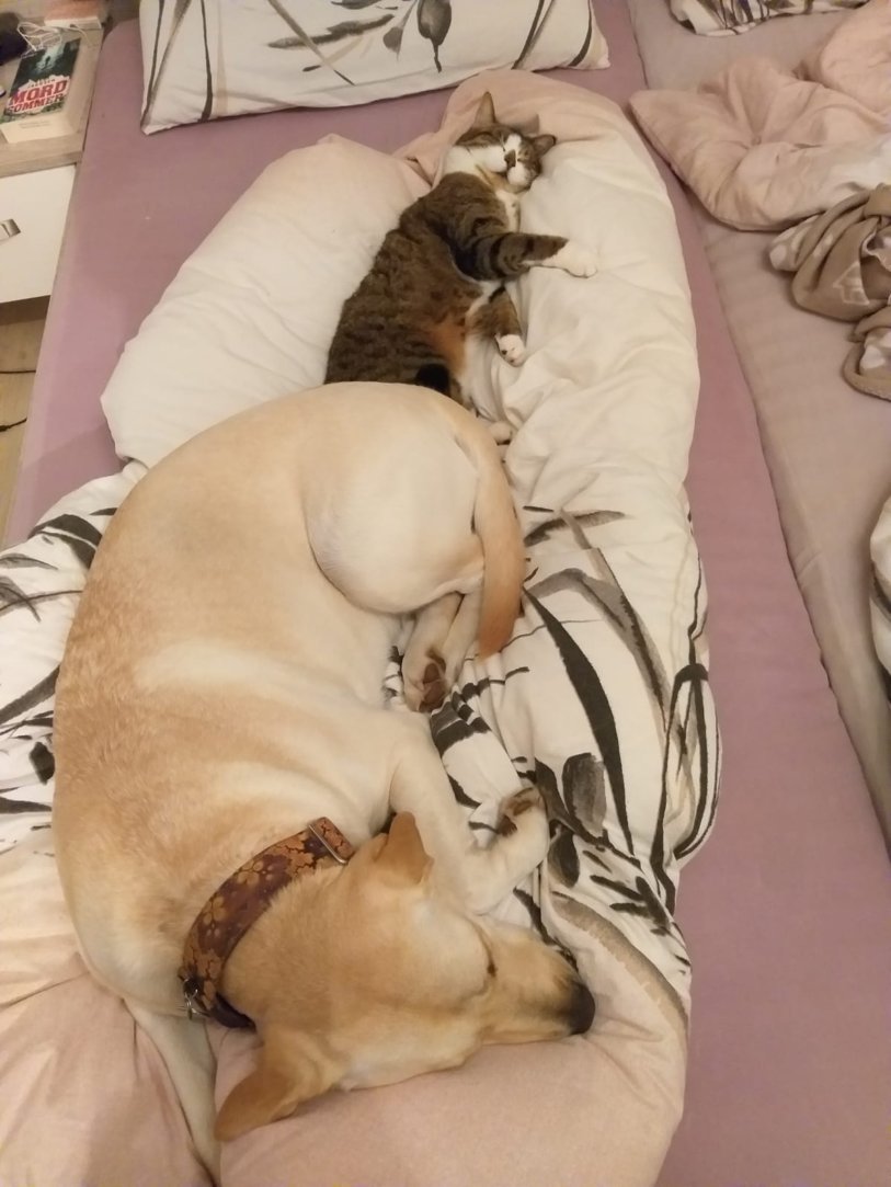 Emmi und Mia