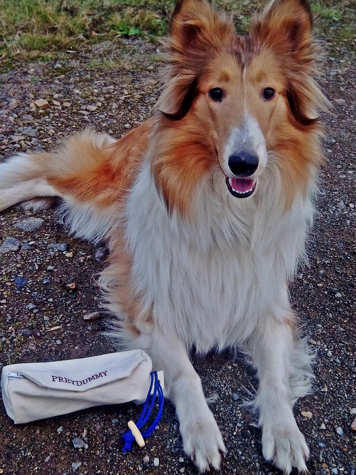 Prinzessin Valium ♥ & der Preydummy