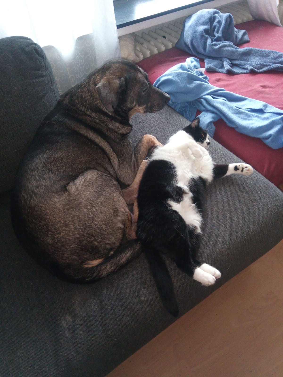 Zeus mit Señor Max