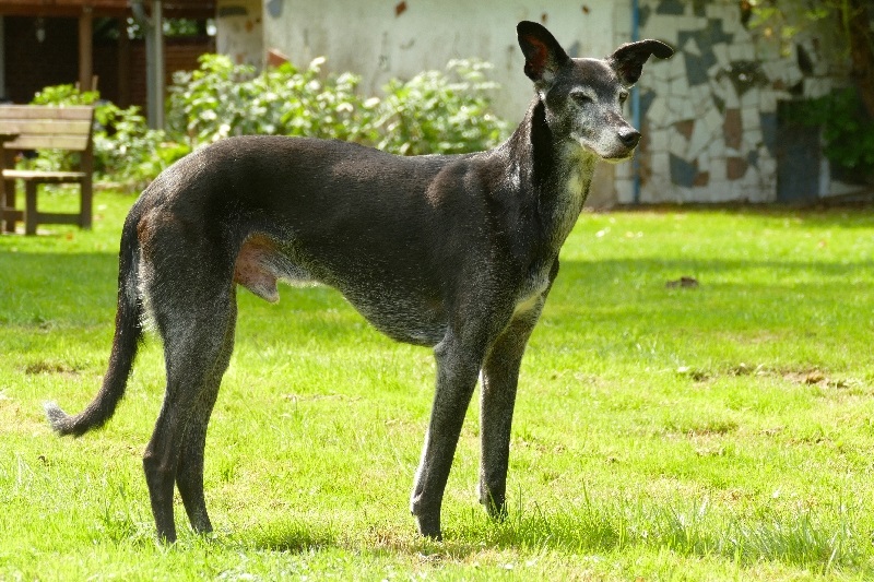 Lucas mit 12 Jahren