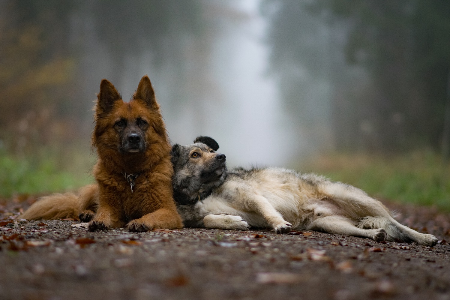 Luna und Jack