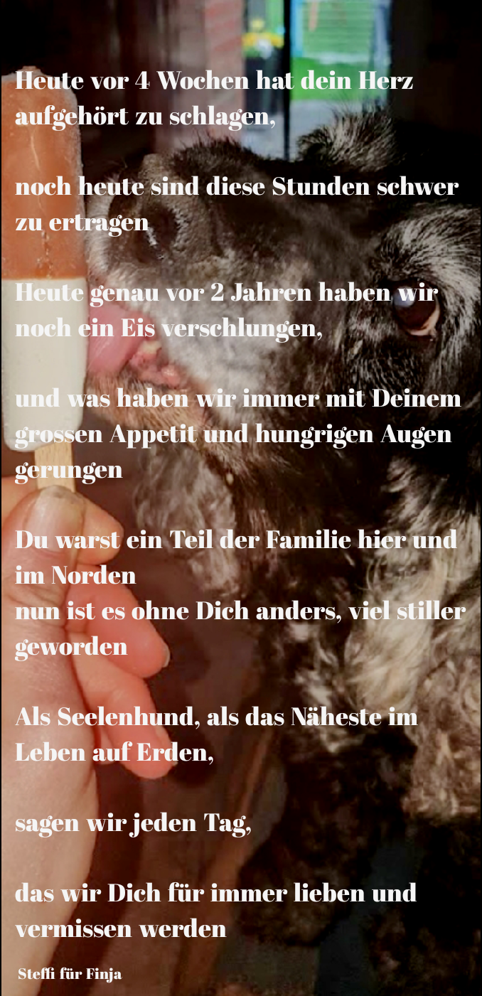 4 Wochen ohne Dich...Finja...