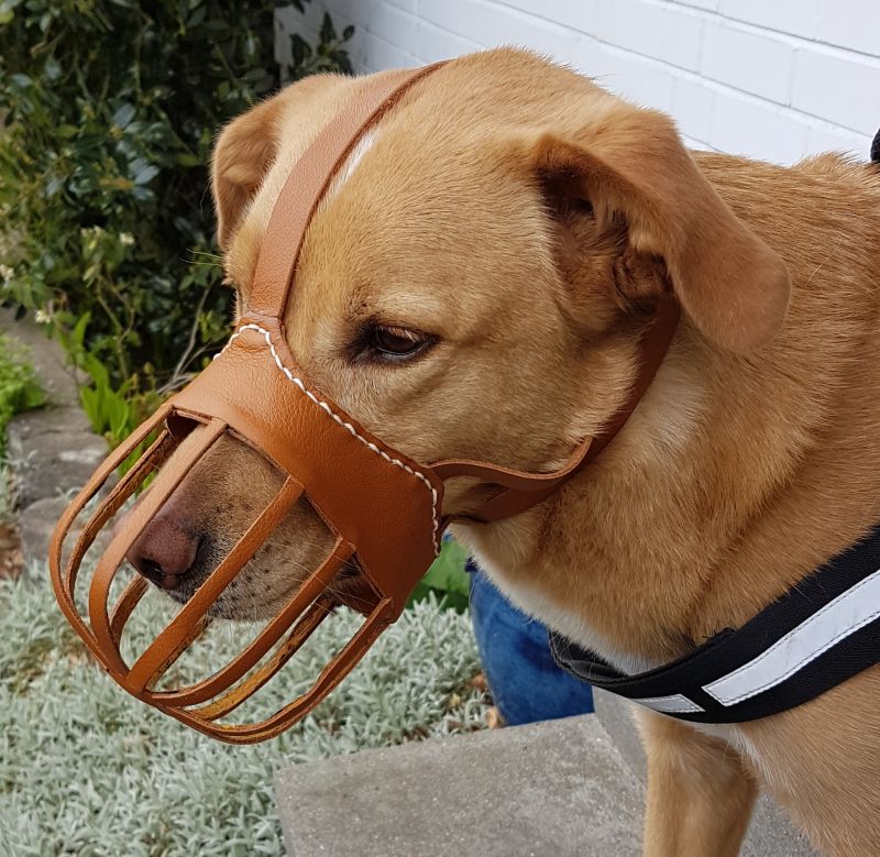 Gina mit Kopfschmuck