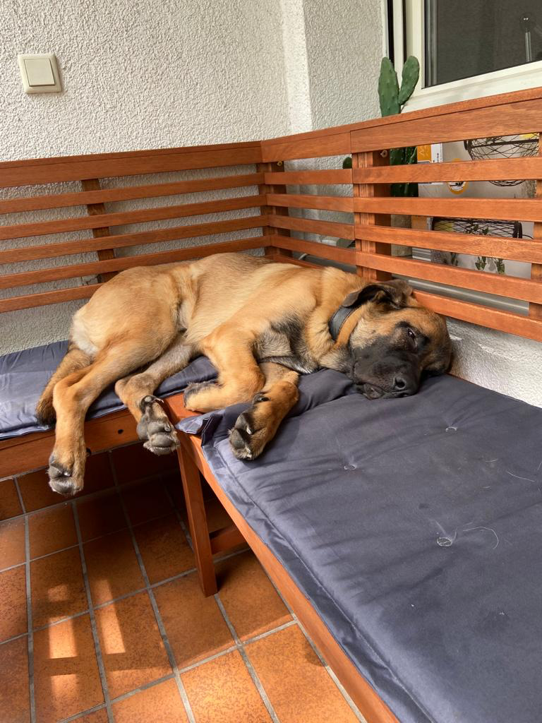 Ja mal so richtig Chillen
