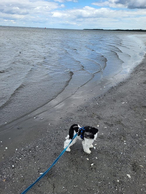 Erster Ostseekontakt