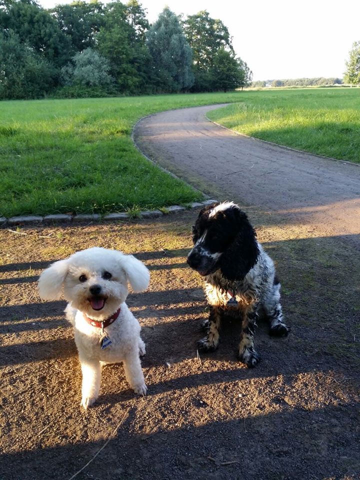Nelly und Ella
