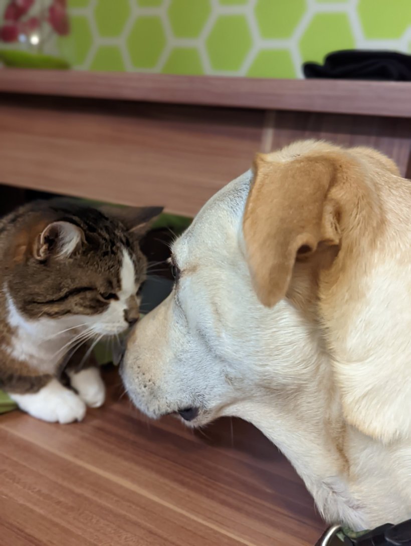 <3