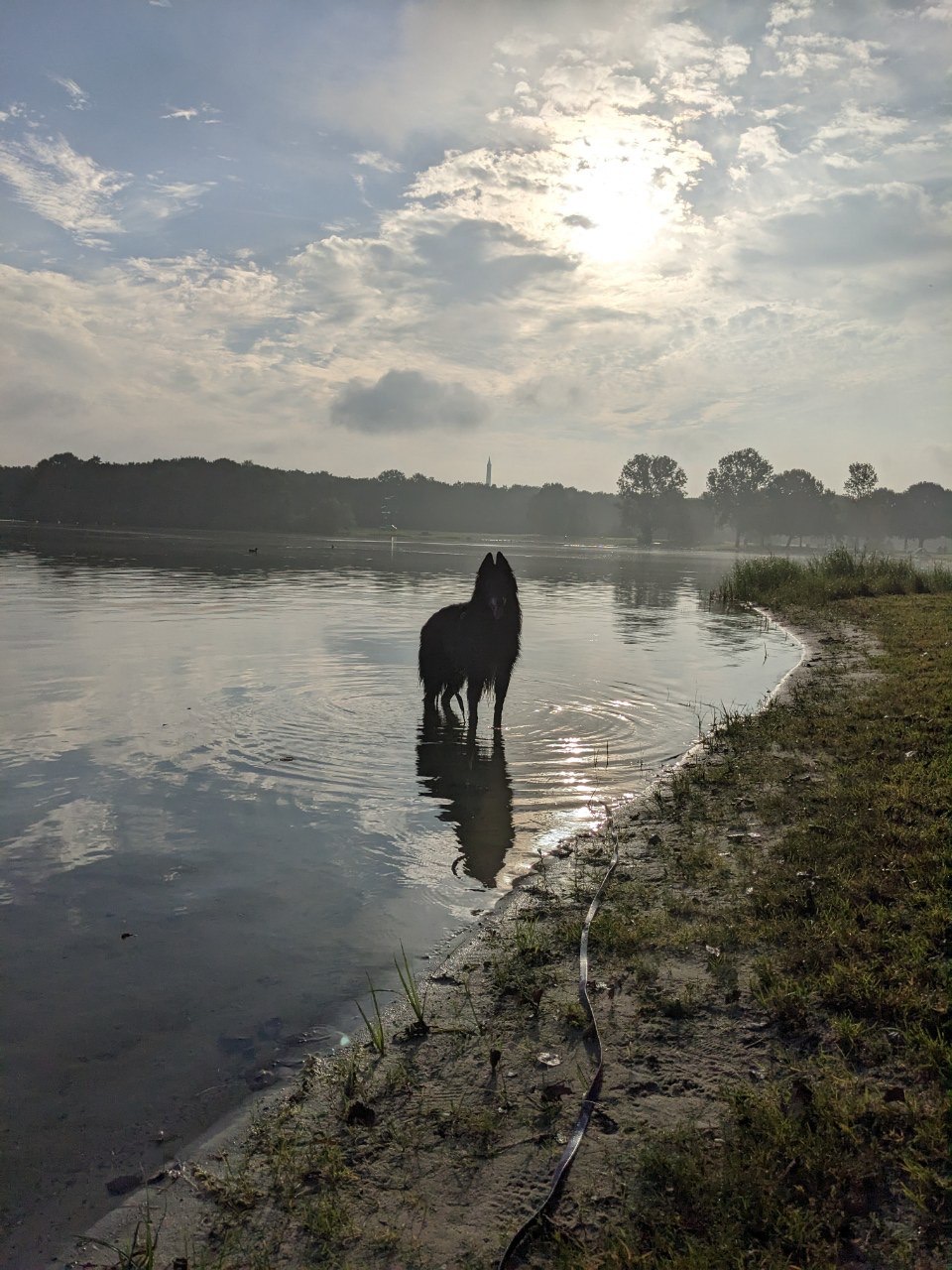 Am See