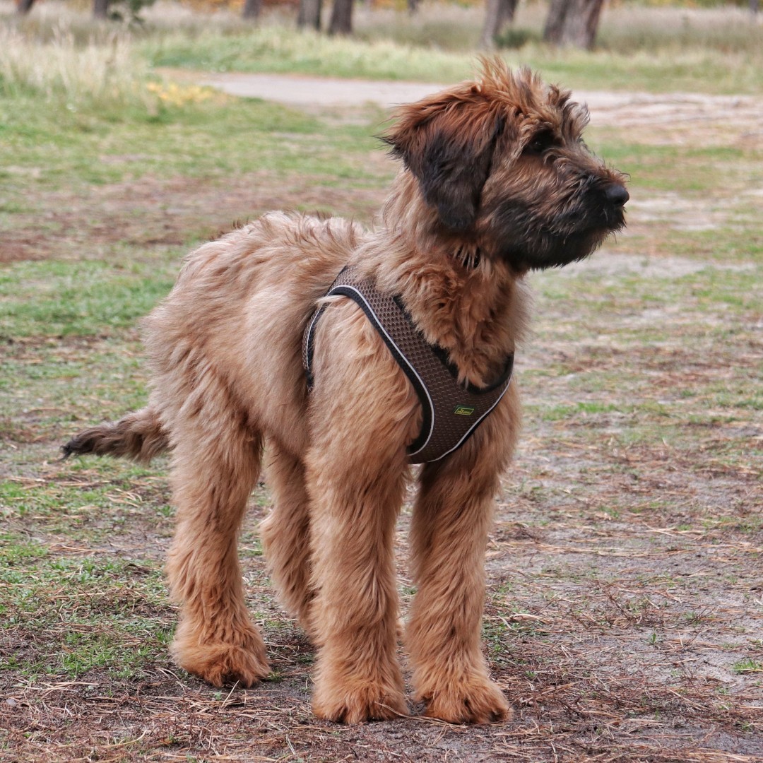 ich bin jetzt schon 4 Monate