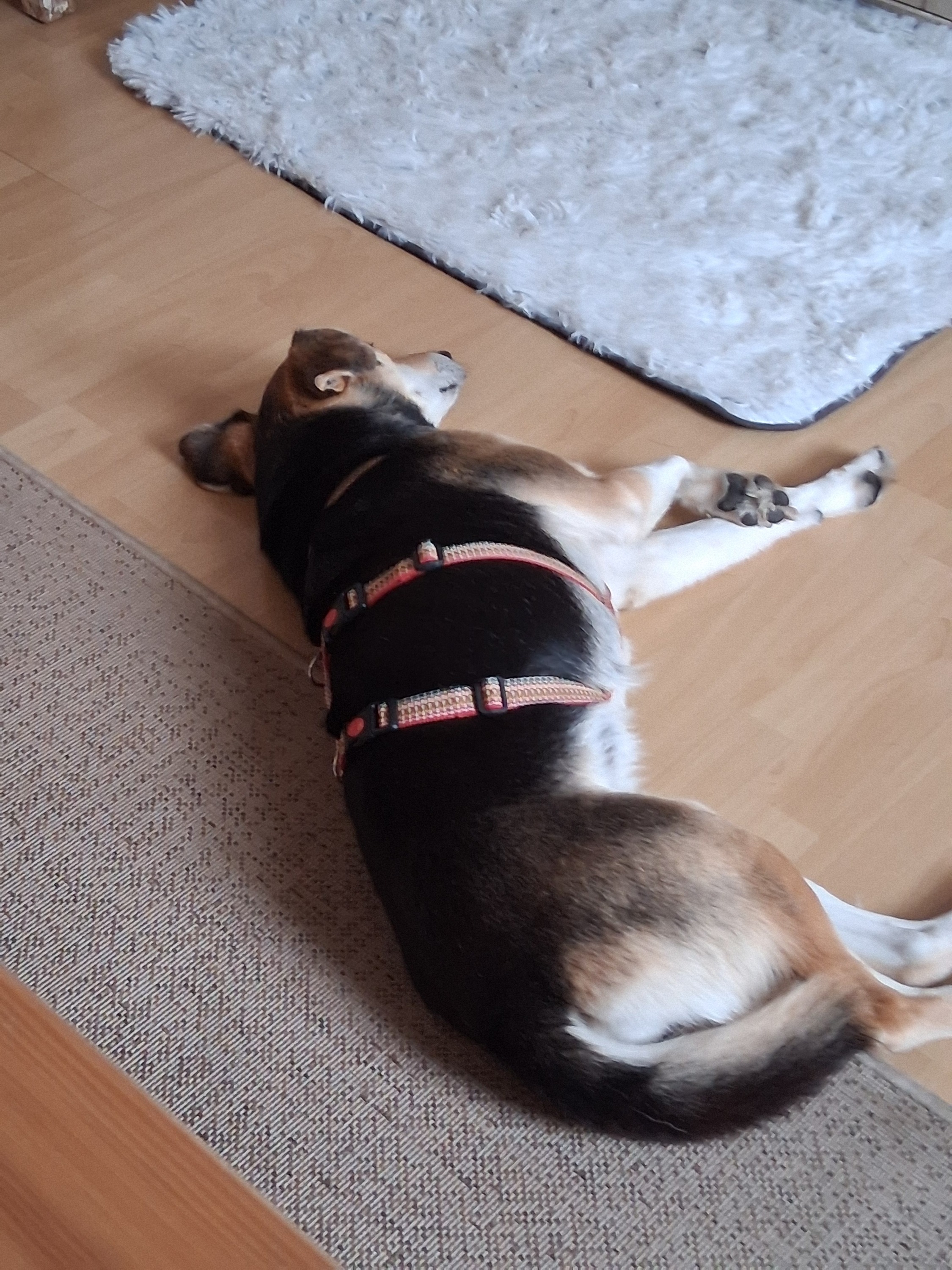 So sieht Vertrauen aus 💪