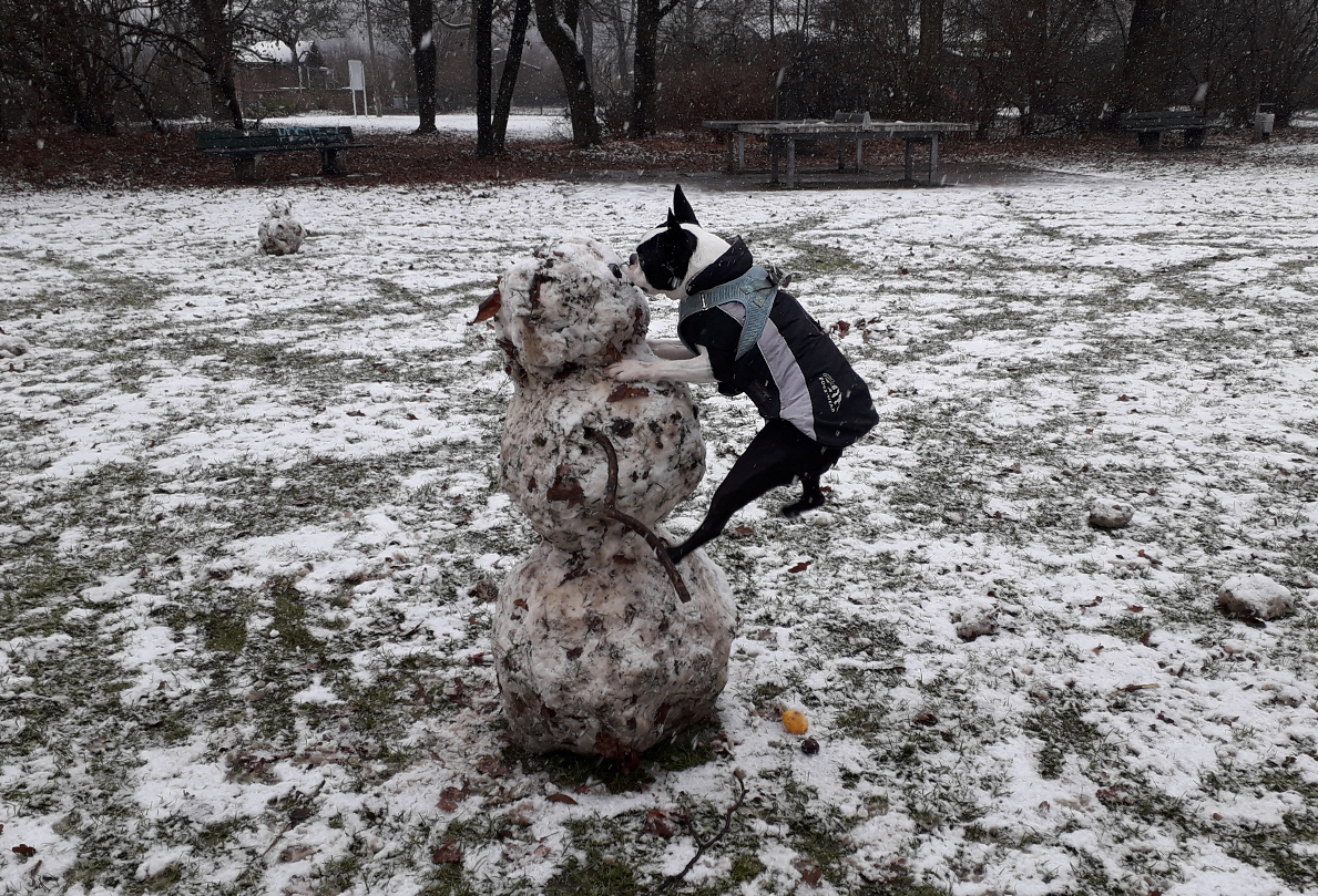 Schneemann