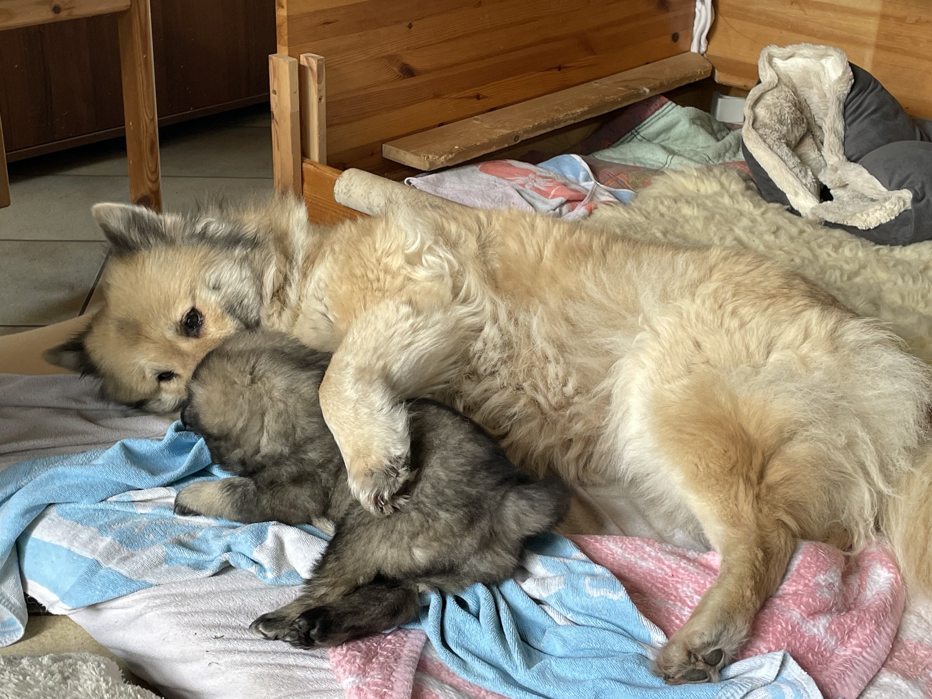 Wenn die Oma mit dem Enkel kuschelt