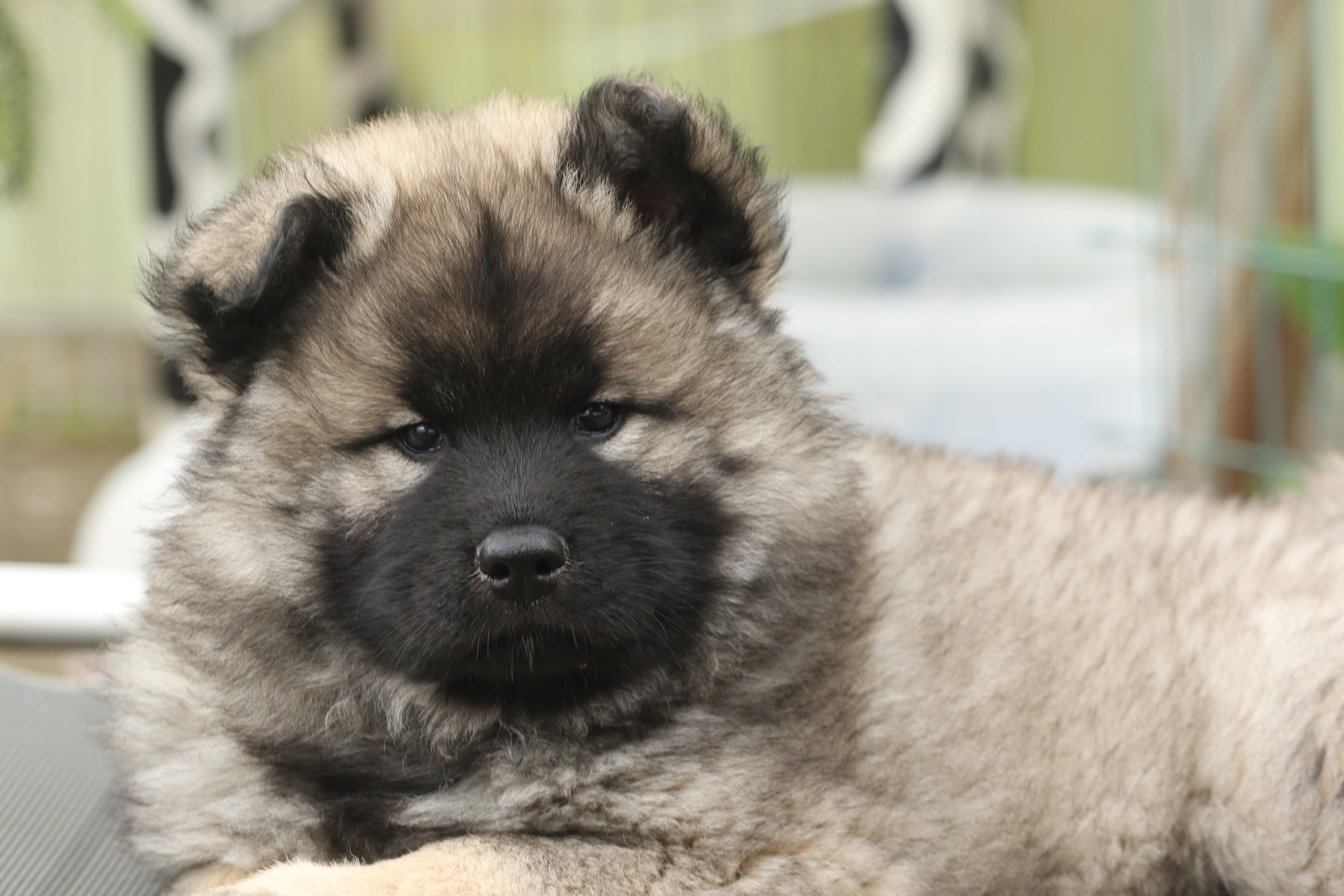 Unser Nachwuchs Dorle