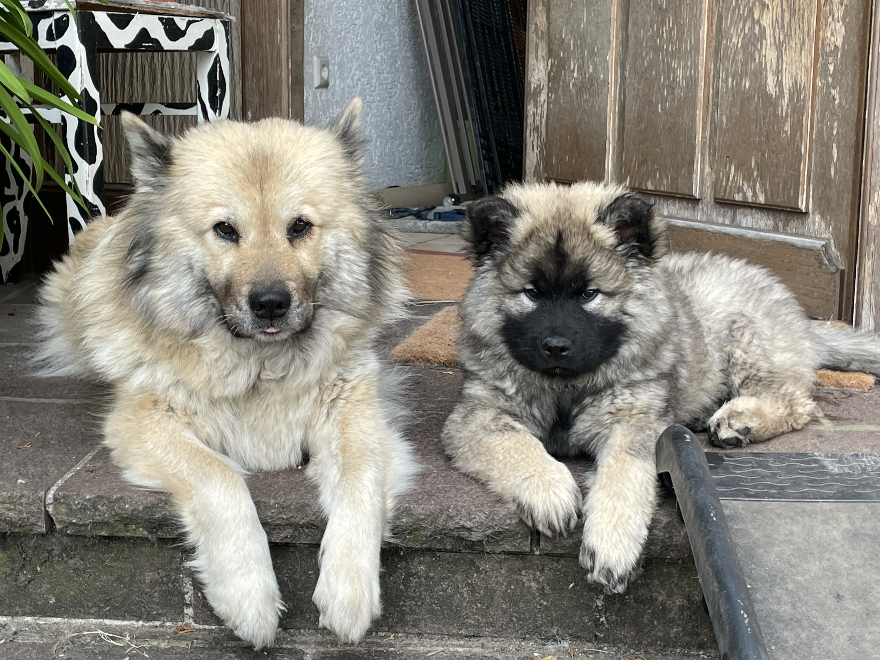 Oma Ada und Enkelin Dorle