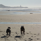 Oregon, Beverley Beach