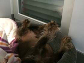 Na wenn`s bequem ist!!!!!!!