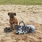 am Strand