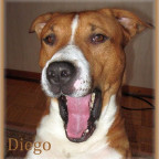 Diego