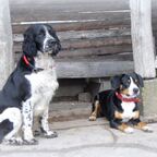 Jamie und Charly