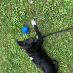 Draußen mit dem Ball