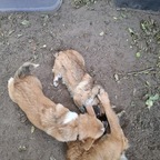 Einmal spielen bitte