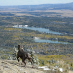 Yamnuska, AB