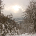 Winterwunderwald