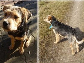 Mein aller liebster Schatz Spike