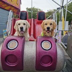 Im Wiener Prater