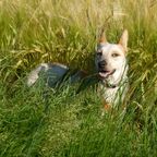 Lena im Gras