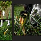 Hallo Frühling
