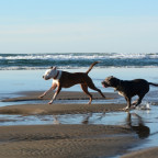 Oregon, Beverley Beach