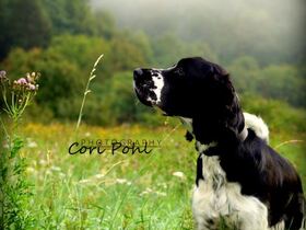 *schnüffel* was riecht hier so gut?!