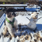 Zwei Schneemänner