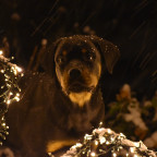 Hades an Weihnachten