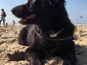 Ein Tag am Strand 2.0