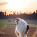 Gaia im Sonnenuntergang