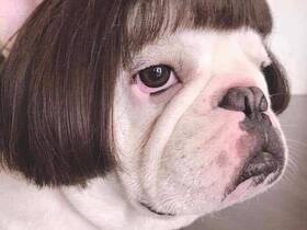 65158554_2313351275378000_1298306040202264576_n