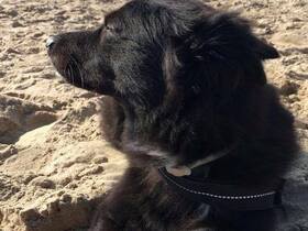 Ein Tag am Strand 1.0