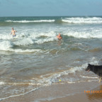 Rex sein Ball im Meer